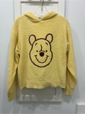 Disney Parks Winnie the Pooh hoodie